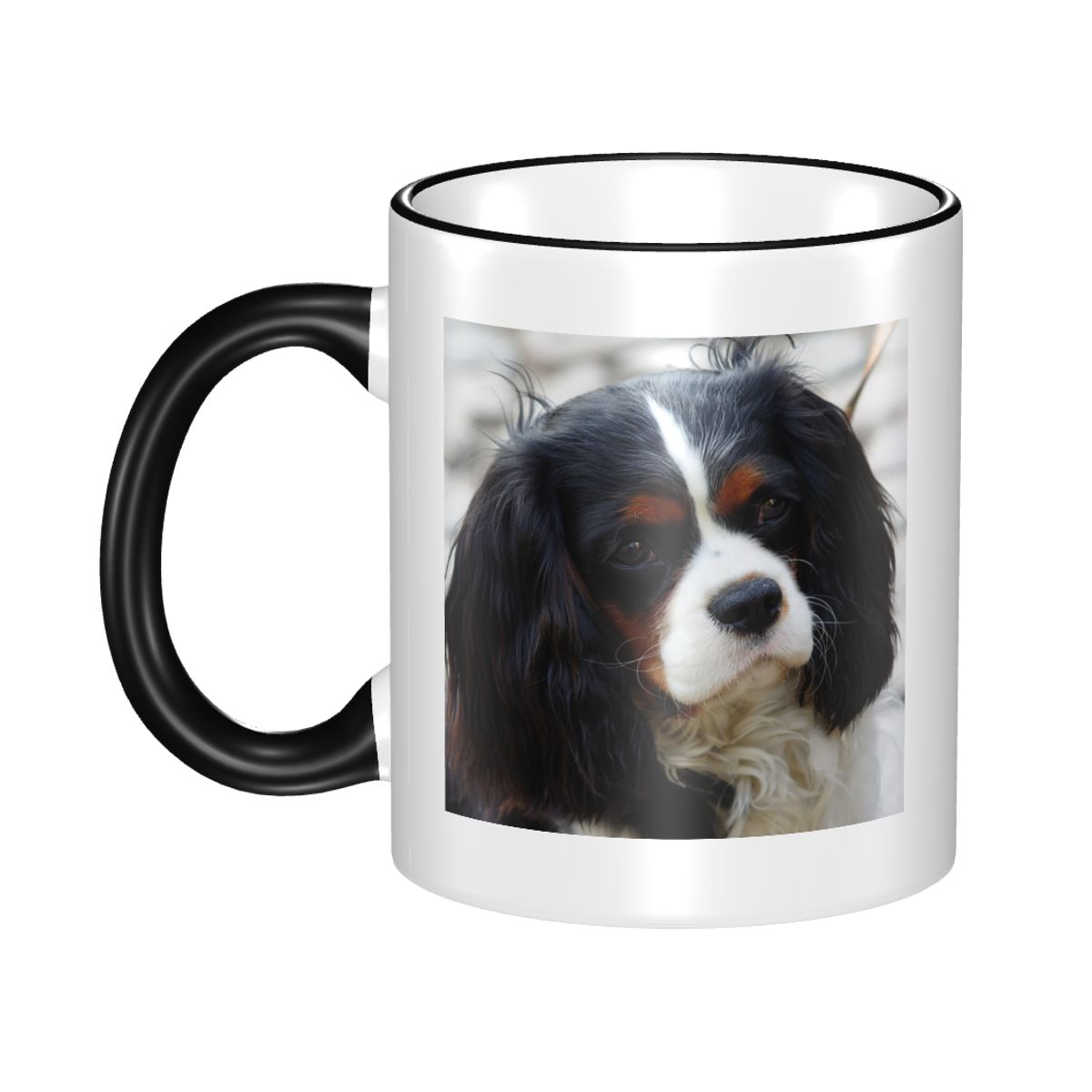 Üç Renkli Cavalier King Charle - Coffee Tea Photos incelemesi ve fiyatı