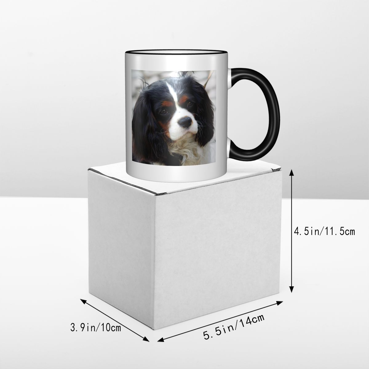 Üç Renkli Cavalier King Charle - Coffee Tea Photos incelemesi ve fiyatı