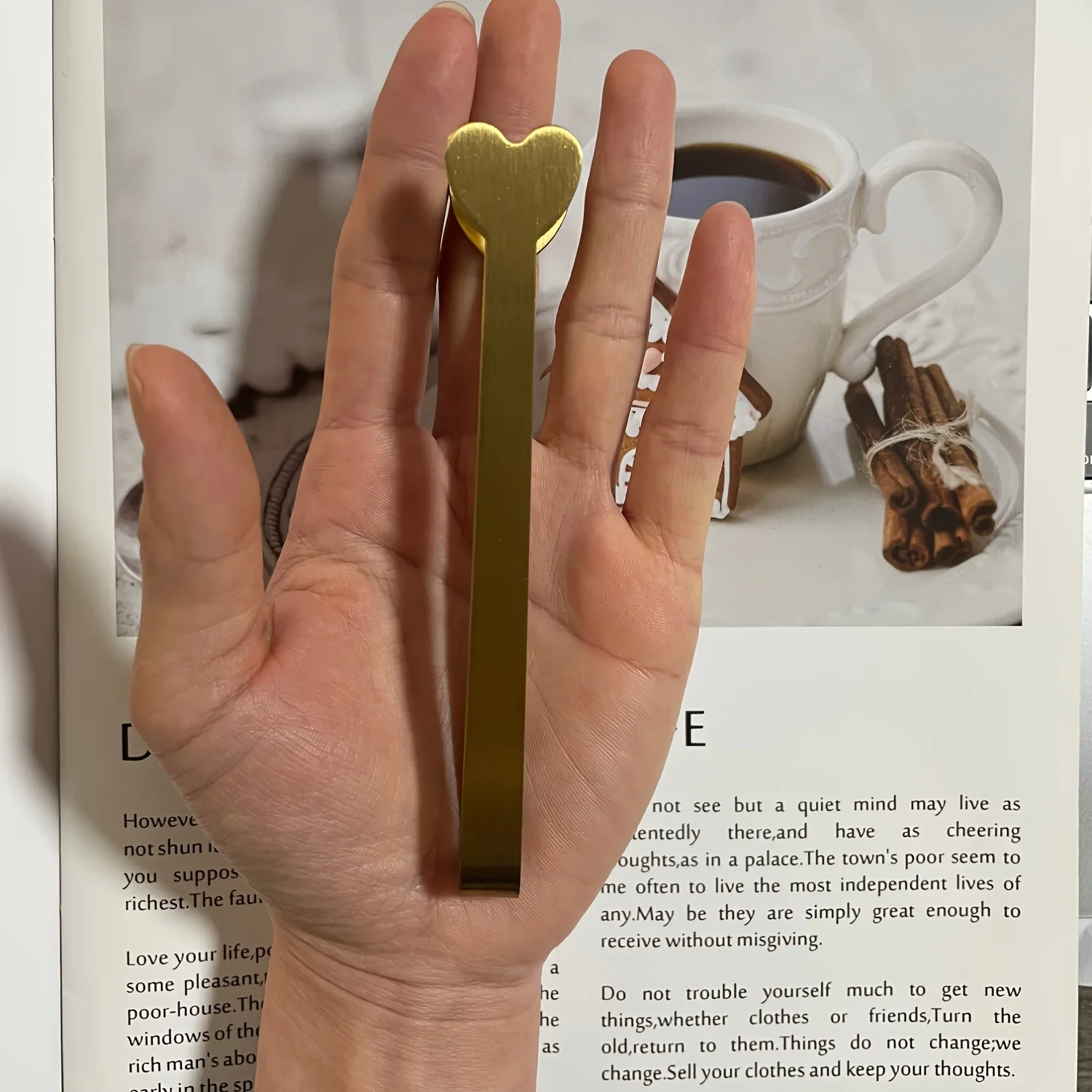 Paslanmaz Çelik Kalp Şeklinde  - Coffee Tea Day incelemesi ve fiyatı
